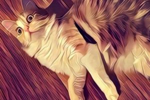 Prisma uygulaması Android i&ccedil;in geliyor!