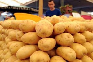 Patates tarlada 25 kuruş, pazarda 1,5 lira