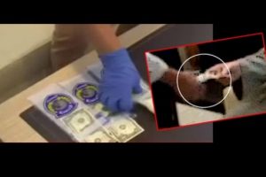 Hainlerin cebinden &ccedil;ıkan '1 dolar' ne anlama geliyor?