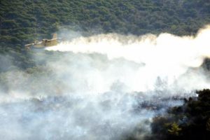 Bodrum'da ormanlık alanda yangın