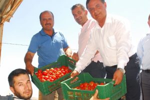 50 bin ton &ouml;rt&uuml; altı domates, Rusya'ya gidiyor