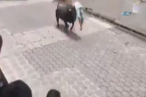 Boğaların yoluna &ccedil;ıktı, yedeği darbeyle yerden kalkamadı