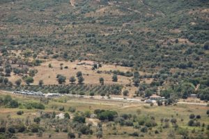 Fo&ccedil;a'da askeri &uuml;sse operasyon: 190 g&ouml;zaltı
