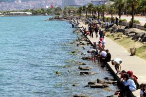 Vatandaşlar sahillere akın etti