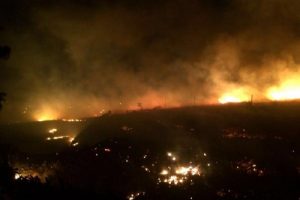 İzmir Buca'da &ccedil;ıkan yangın r&uuml;zgarın etkisiyle b&uuml;y&uuml;d&uuml;