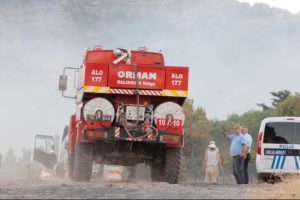 Balıkesir'de orman yangını