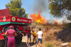 Muğla Milas'ta yangın!