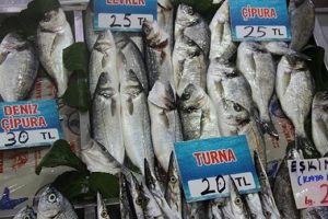 Balık fiyatları el yakıyor