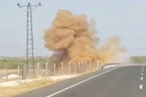 Mardin'de hain tuzak imha edildi
