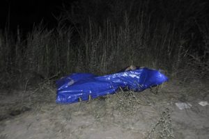 Suriye gen&ccedil; sulama kanalında can verdi