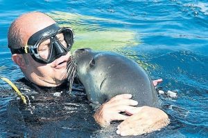 Ko&ccedil;'un anısına sualtı heykeli