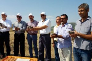 Tekirdağ'da doğaya 200 kınalı keklik salındı