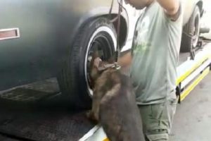 'H&Ouml;H' otomobili Kısıklı'daki 'Demokrasi N&ouml;beti'ne g&ouml;t&uuml;r&uuml;ld&uuml;, polis arama yaptı
