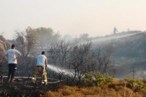 Endemik bitki t&uuml;rlerinin bulunduğu 5 d&ouml;n&uuml;m maki k&uuml;le d&ouml;nd&uuml;