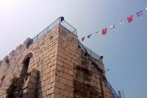 Bursa'da gen&ccedil; kadın surlardan atlamak istedi