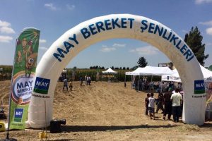 MAY Tohum şampiyon mısırlarını tanıttı