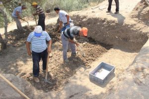 Antik kavimlerin genleri araştırılacak