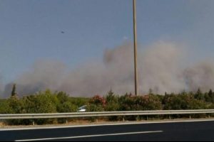 İzmir'de otoyol yakınında orman yangını
