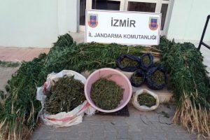 Jandarmadan kenevir bah&ccedil;esine baskın
