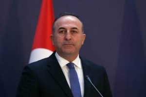 &Ccedil;avuşoğlu, D&uuml;nya Ahıska T&uuml;rkleri Birliği temsilcilerini kabul etti