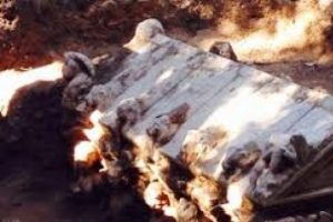 Bursa'da lahidin &ccedil;ıktığı tarla definecilerin ilgisini &ccedil;ekti