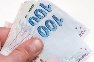 BES'te 100 lira prim &ouml;deyen 10 yıl sonra ne kadar maaş alacak?