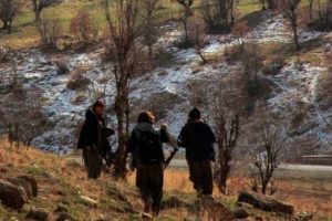 FET&Ouml; ihbar etti, PKK Kandil'de infaz etti!
