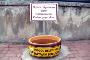 Bursa'da susuz kalan sokak hayvanları i&ccedil;in &ccedil;ağrı