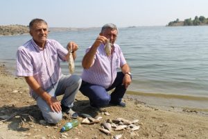 Bursa'da barajda balık &ouml;l&uuml;mleri korkuttu