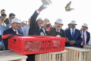 Bakanlar doğaya keklik saldı