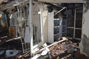 Bursa'da kuş&ccedil;ular hanı yandı, 600 kuş telef oldu