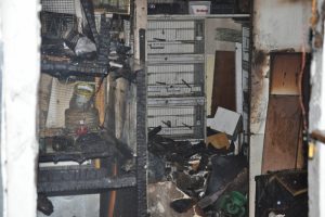 Bursa'da kuşlar ve tavuklar yanarak telef oldu