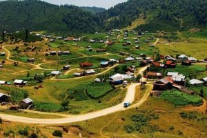 Cep sinyali Akyazı'dan geldi, b&ouml;lge didik didik aranıyor