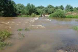 Gediz Nehri'ne devrilen trakt&ouml;rdeki 2 kişi, son anda kurtarıldı
