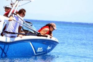 Bodrum'daki koyda, 6 saatlik caretta caretta incelemesi