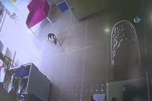 Davetsiz misafir korkuttu hem g&uuml;ld&uuml;rd&uuml;