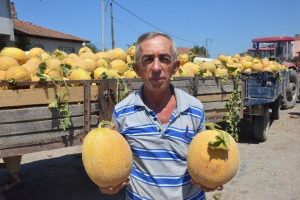 Kavun Bursalı &ccedil;iftinin y&uuml;z&uuml;n&uuml; g&uuml;ld&uuml;rd&uuml;
