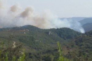 Hatay'a d&uuml;şen top mermisi yangına sebep oldu