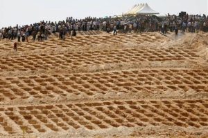 &Ccedil;ok sayıda kazılan mezara Gaziantep B&uuml;y&uuml;kşehir Belediyesi'nden a&ccedil;ıklama