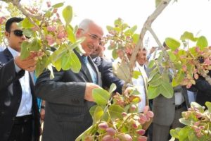 Şanlıurfa Valisi fıstık şenliğinde konuştu: D&uuml;şman &ccedil;atlatıyoruz