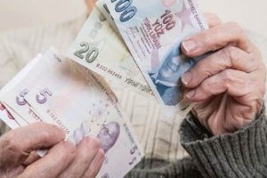 Gurbet&ccedil;ilere b&uuml;y&uuml;k imkan! &Ccedil;alışmadan emeklilik
