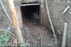 Adil Öksüz'ün arandığı Akyazı'daki yaylada sığınak bulundu