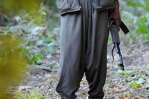 PKK'a Bitlis'te yol kesti: 1 polis yaralı