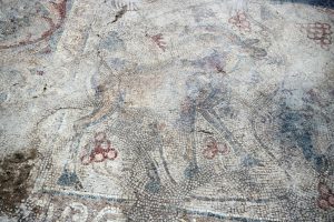 Yonca tarlasında bin 400 yıllık mozaik