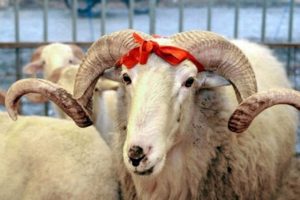 Bayram T&uuml;rkiye ve Suudi Arabistan'da aynı g&uuml;n kutlanacak