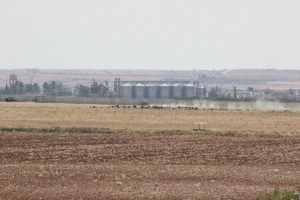 Suriye sınırında hareketlilik