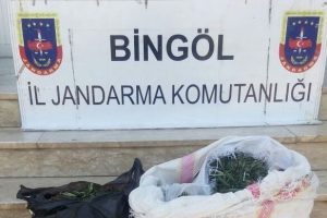 Bing&ouml;l'de 10 kilo esrar ele ge&ccedil;irildi