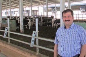 Bursa'dan kurbanlık a&ccedil;ıklaması: Nefesini dinleyerek se&ccedil;in