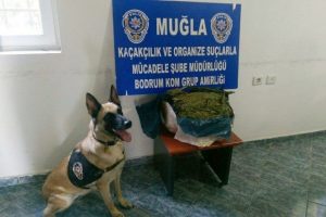 Uyuşturucuları sarımsakların arasına gizlemişler