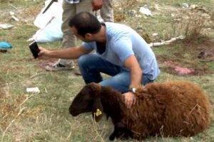 "Mutlaka aldığınız kurbanlıkla selfie &ccedil;ekin"